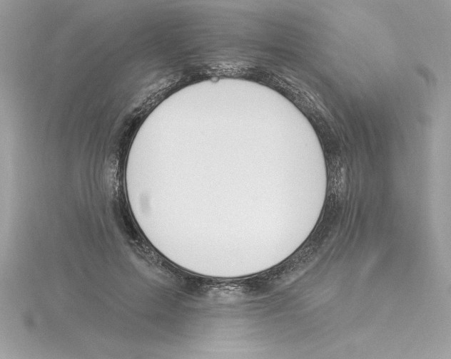 X0000115850599200912111355