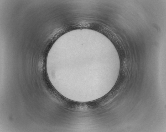 X0000115850600200912111355
