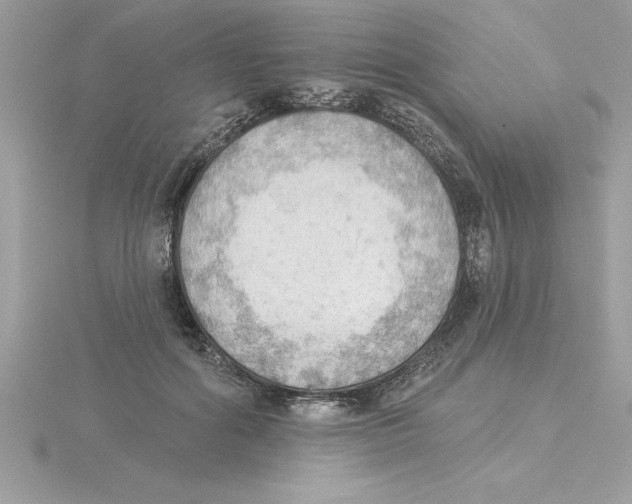 X0000115850602200912111355