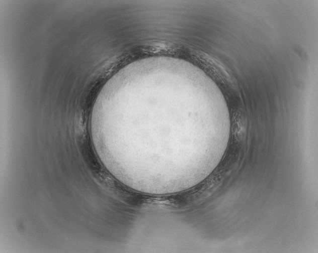 X0000115850607200912111355