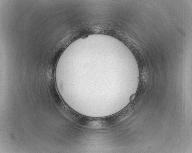 X0000115850611200912111355