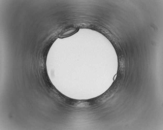 X0000115850617200912111355