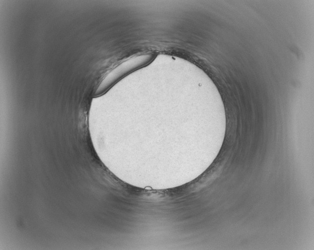 X0000115850624200912111354