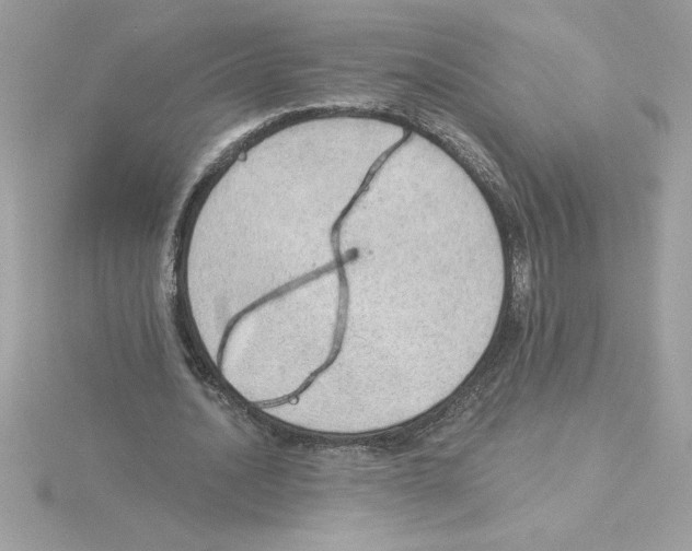 X0000115850628200912111354
