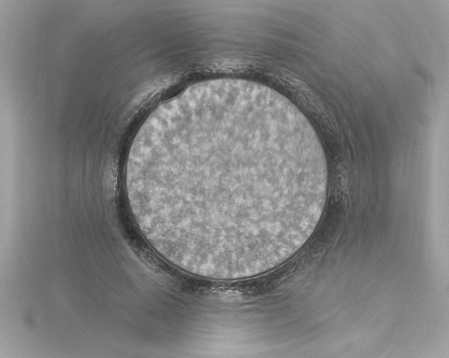X0000115850640200912111354