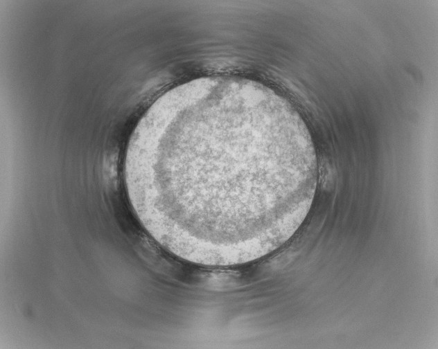 X0000115850670200912111354