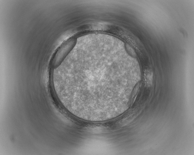 X0000115850726200912111352