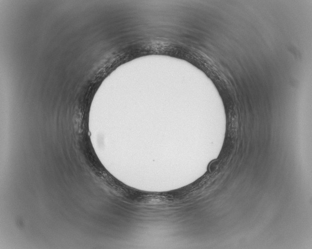X0000115850750200912111353