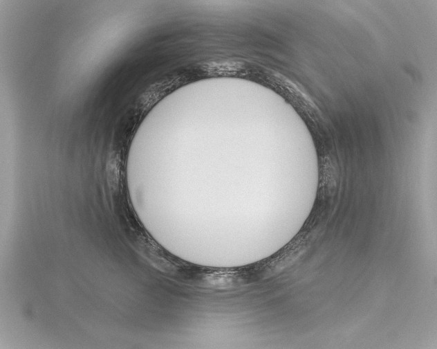 X0000115850761200912111353