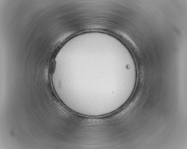 X0000115850777200912111352