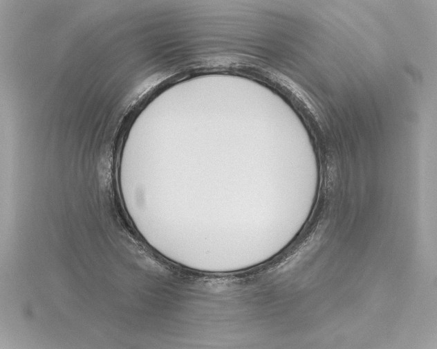 X0000115850778200912111352