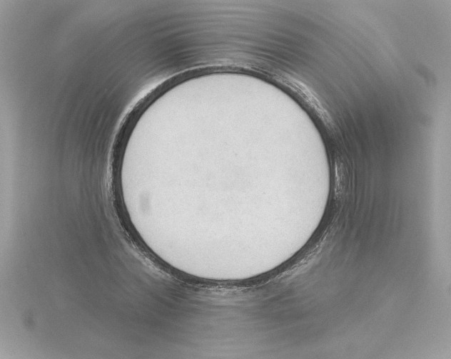 X0000115850780200912111352