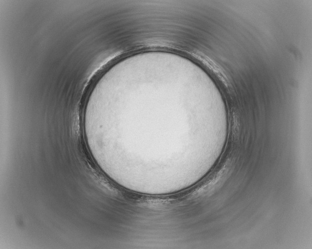 X0000115850782200912111352
