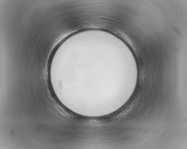 X0000115850787200912111352