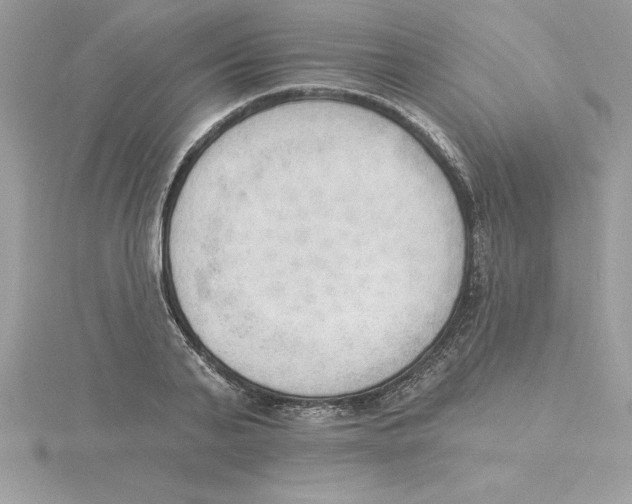 X0000115850791200912111352