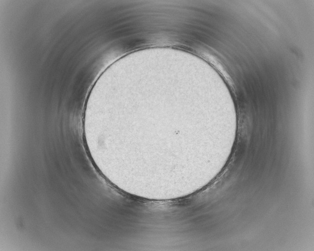 X0000115850810200912111352