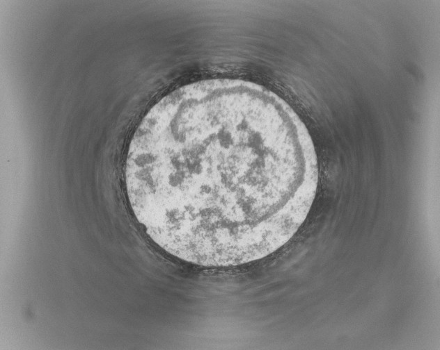 X0000115850817200912111351