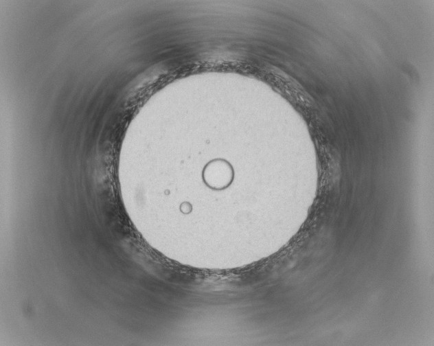 X0000115850824200912111351