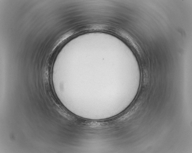 X0000115850827200912111351