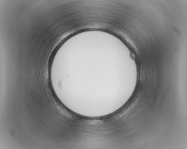 X0000115850837200912111351