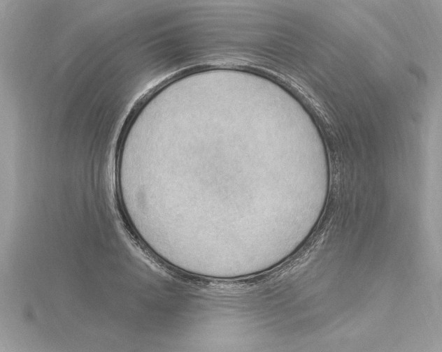X0000115850840200912111351