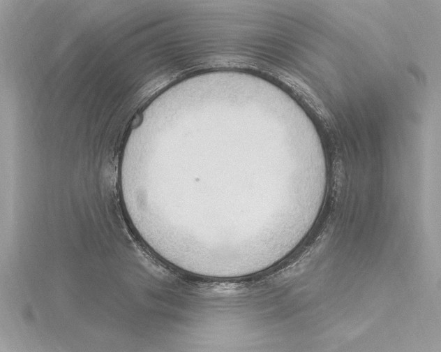 X0000115850841200912111351