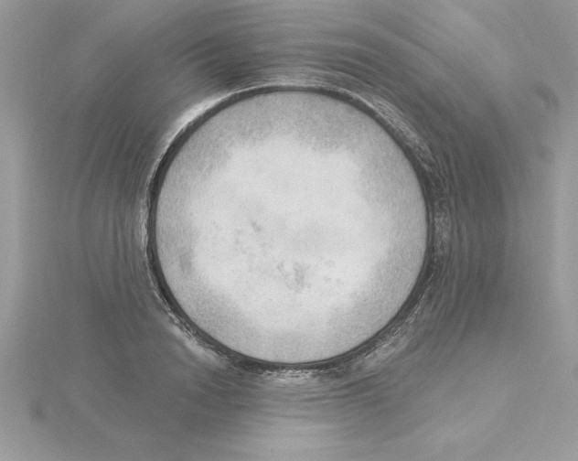 X0000115850846200912111352