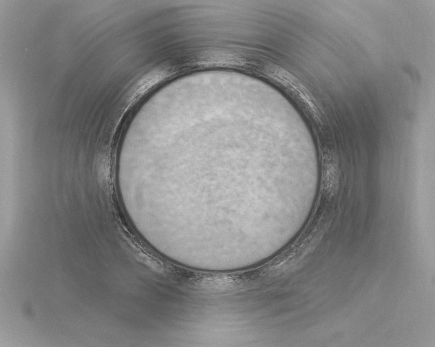 X0000115850882200912111351