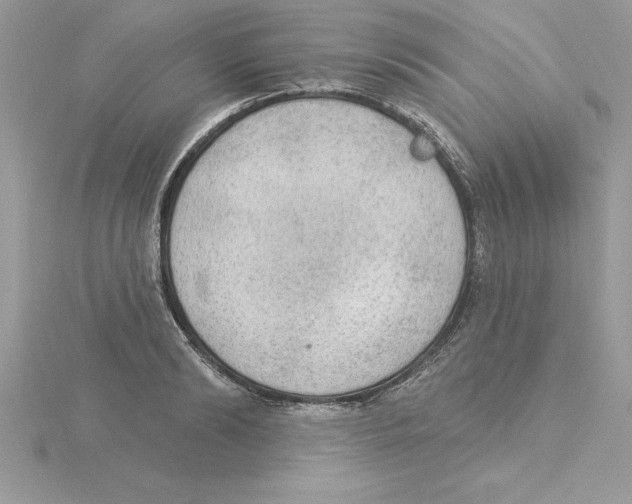 X0000115850894200912111351