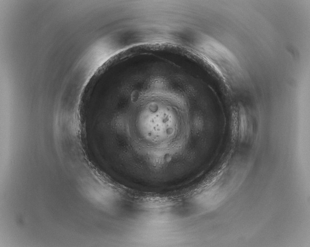 X0000115850927200912111350