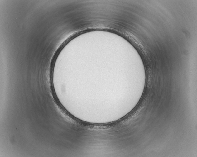 X0000115850942200912111350