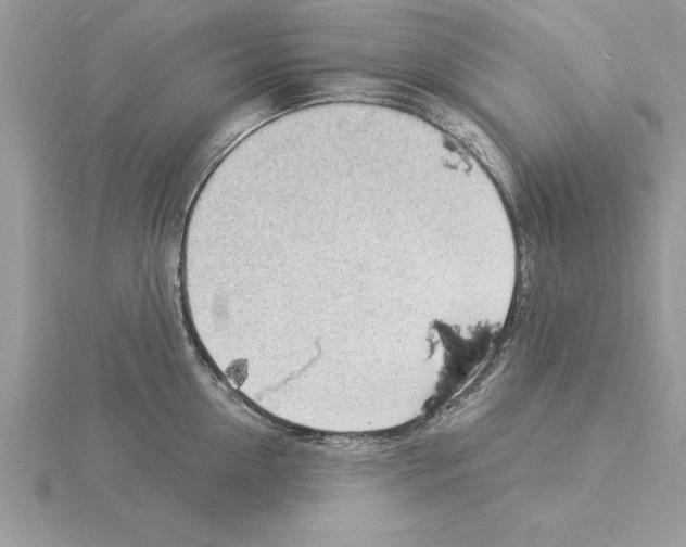X0000115850954200912111350