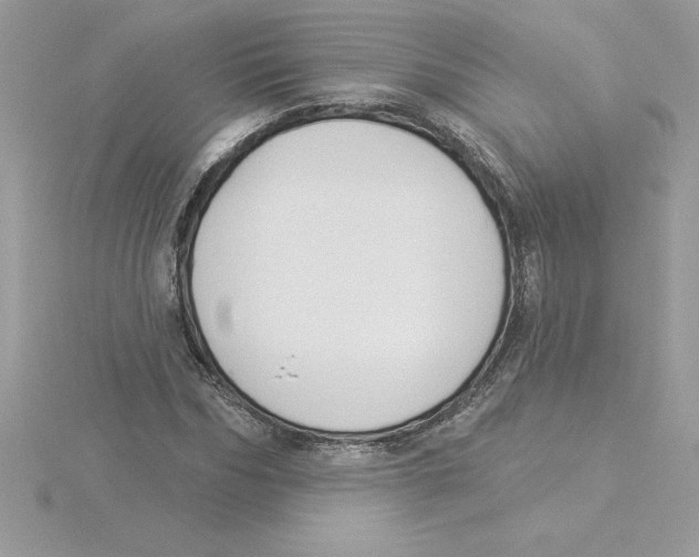 X0000115850970200912111350