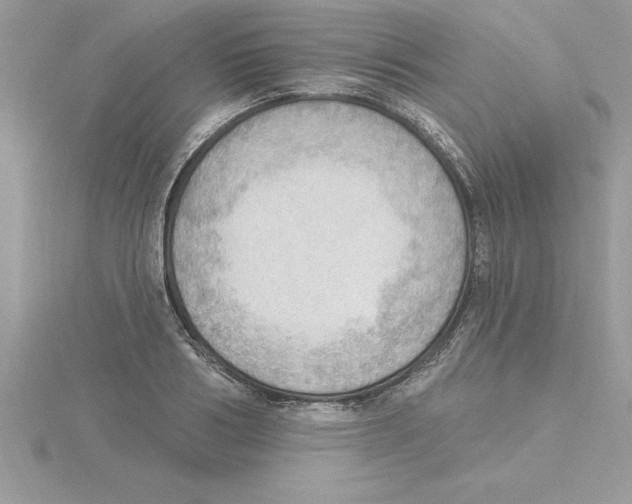 X0000115850986200912111350