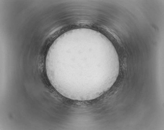 X0000115851015200912111349