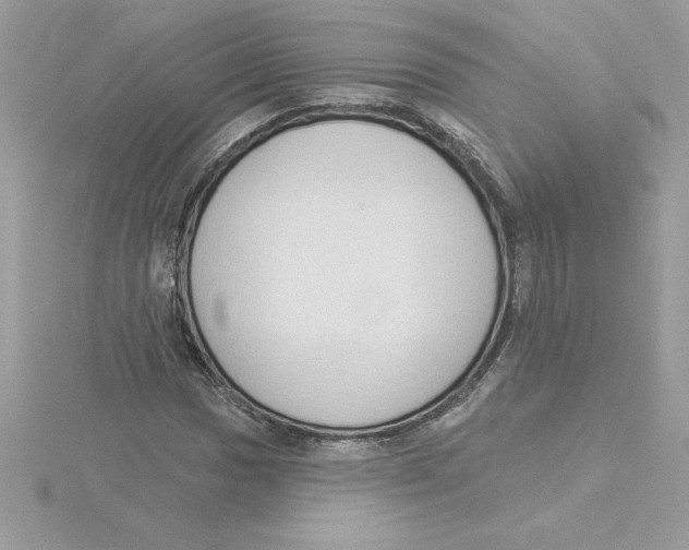 X0000115851017200912111349