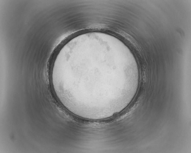 X0000115851022200912111349