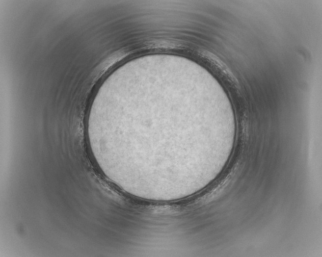 X0000115851025200912111349