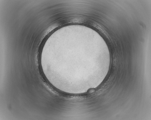 X0000115851026200912111349