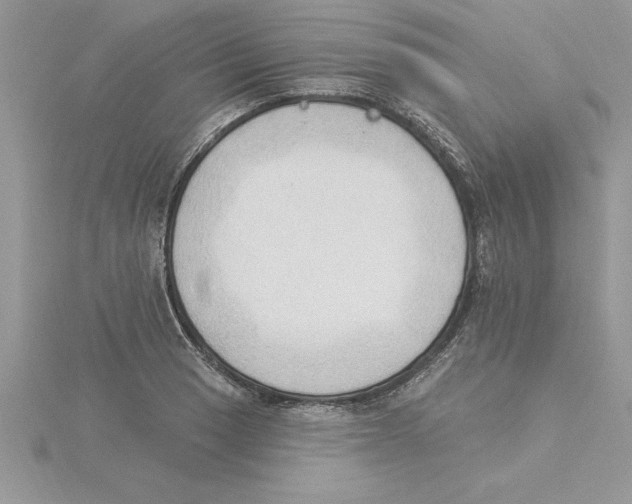 X0000115851033200912111349