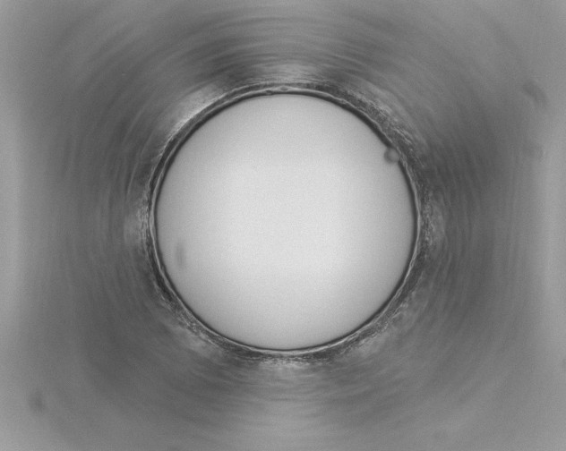 X0000115851073200912111349