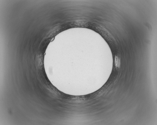 X0000115851107200912111348