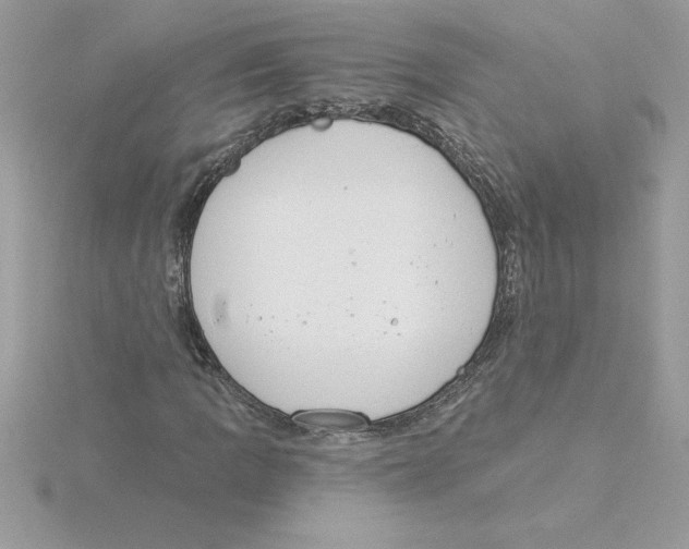 X0000115851109200912111348