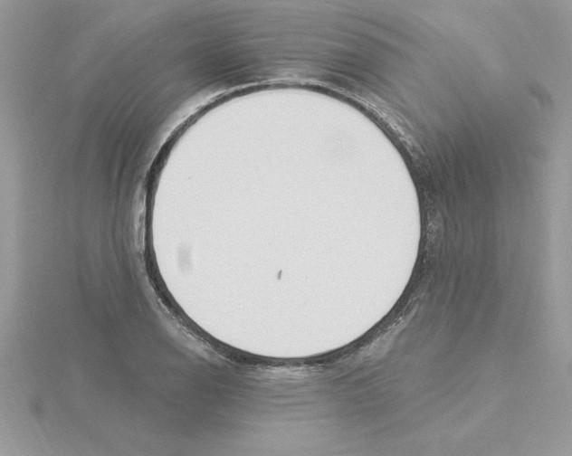 X0000115851126200912111348