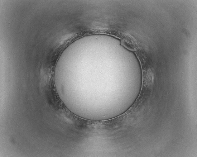 X0000115851157200912111347