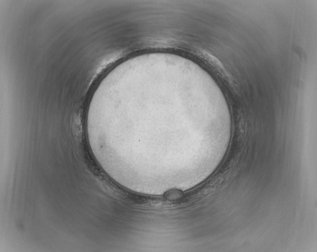 X0000115851218200912111347