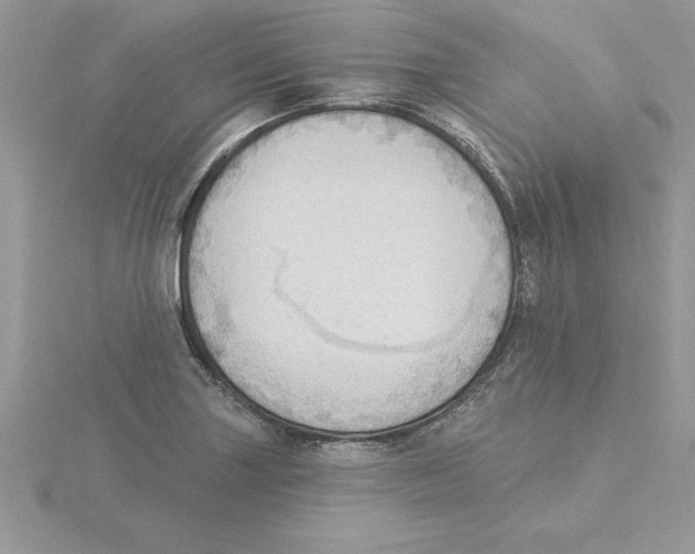 X0000115851227200912111347