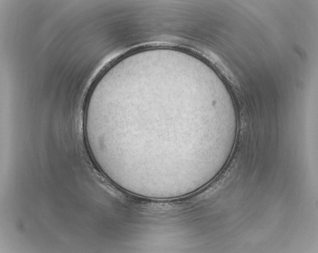 X0000115851232200912111347