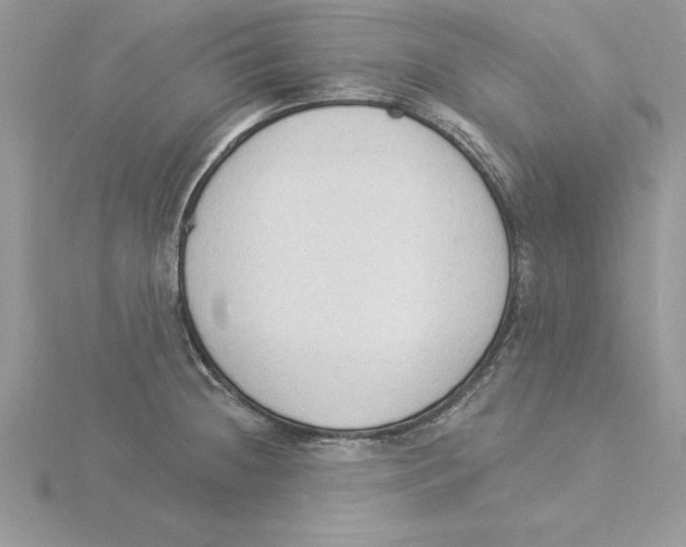 X0000115851236200912111347