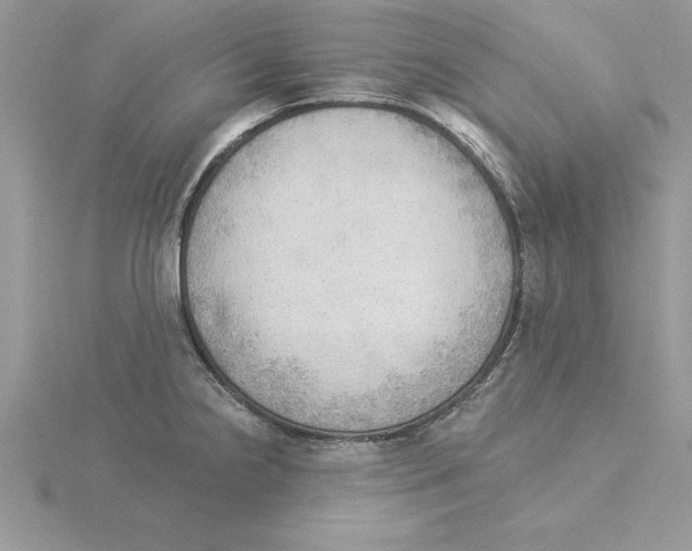 X0000115851238200912111347